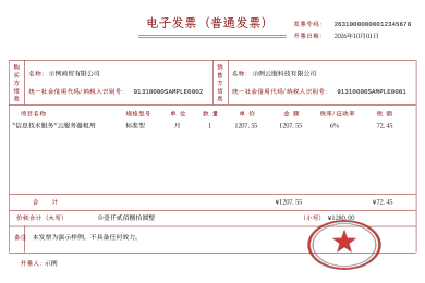 电子发票样张（虚构的示例发票）